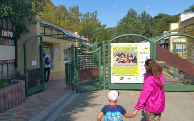 Košická ZOO čelí kríze: Zatvorená pre nákazu, žiada verejnosť o pomoc